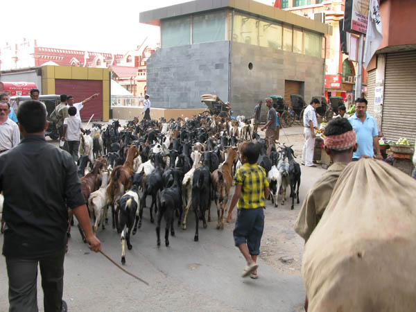 India - Calcutta.