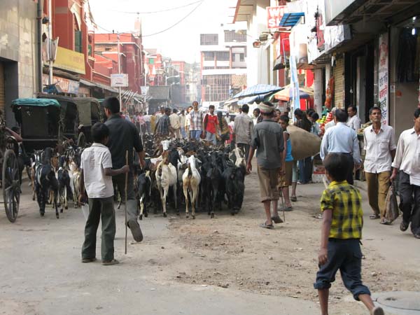India - Calcutta.